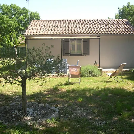 Ammonite Chauzon